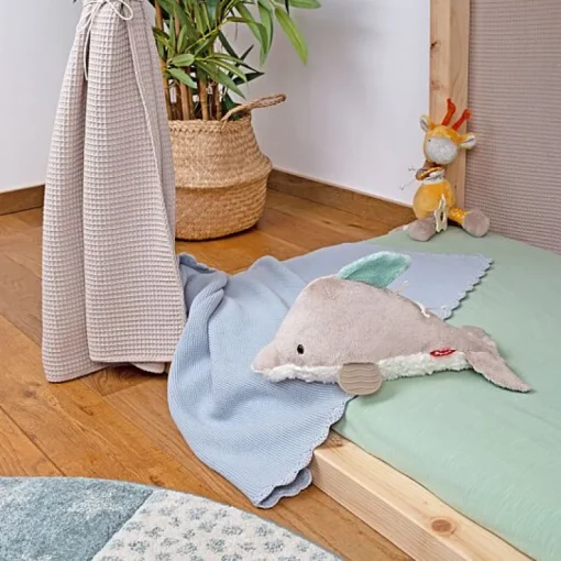 Activity Dolphin