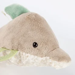 Activity Dolphin