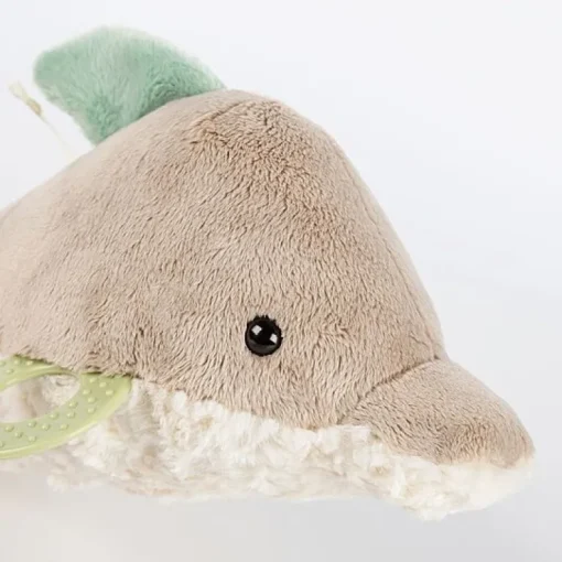 Activity Dolphin
