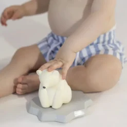 Badspeelgoed Ice Animals Bear