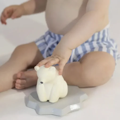 Badspeelgoed Ice Animals Bear