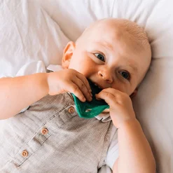 Bijtspeeltje - Chlorophyll Leaf Baby Teether