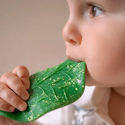 Bijtspeeltje - Chlorophyll Leaf Baby Teether