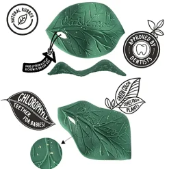 Bijtspeeltje - Chlorophyll Leaf Baby Teether
