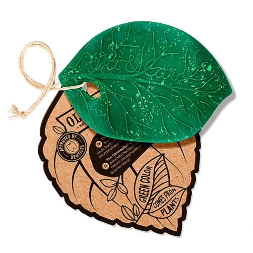 Bijtspeeltje - Chlorophyll Leaf Baby Teether