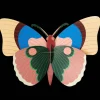 Cepora Butterfly