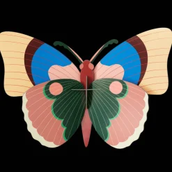 Cepora Butterfly