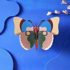 Cepora Butterfly