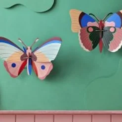Cepora Butterfly