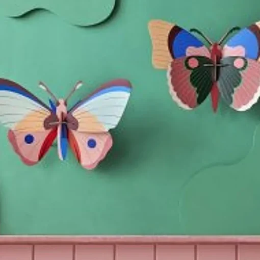Cepora Butterfly