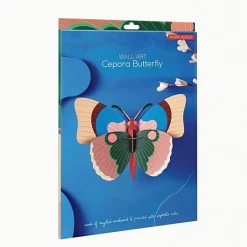 Cepora Butterfly
