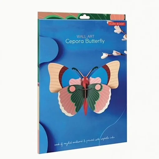 Cepora Butterfly