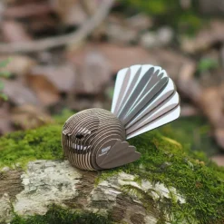 3D puzzel - Vogel Fantail
