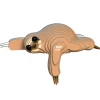 3D puzzel - Wild Dier Luiaard
