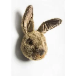 Dierentrofee - Haas Lewis