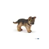 Duitse Herder Pup