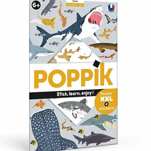 Educatieve Xxl Poster + 45 Stickers Sharks | 6-12 Jaar