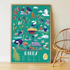 Educatieve Xxl Poster + 640 Stickers Birds | 6-12 Jaar