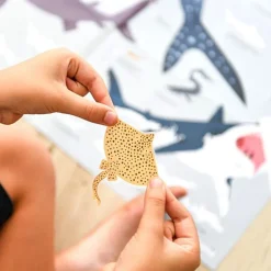 Educatieve Xxl Poster + 45 Stickers Sharks | 6-12 Jaar