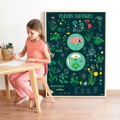 Educatieve Xxl Poster + 51 Stickers Botanic | 7-12 Jaar