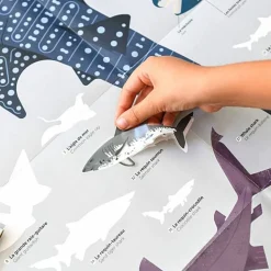 Educatieve Xxl Poster + 45 Stickers Sharks | 6-12 Jaar
