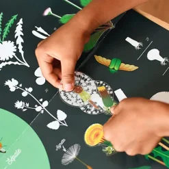 Educatieve Xxl Poster + 51 Stickers Botanic | 7-12 Jaar