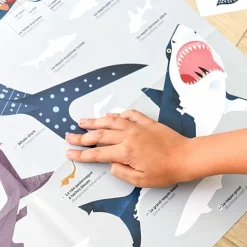 Educatieve Xxl Poster + 45 Stickers Sharks | 6-12 Jaar