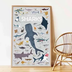 Educatieve Xxl Poster + 45 Stickers Sharks | 6-12 Jaar
