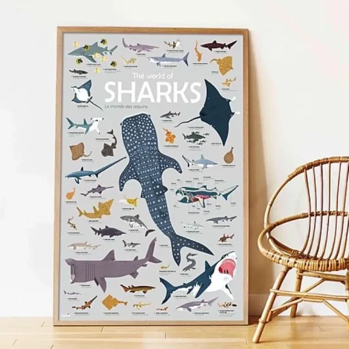 Educatieve Xxl Poster + 45 Stickers Sharks | 6-12 Jaar
