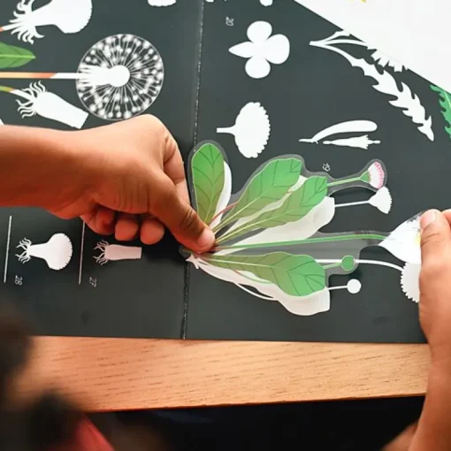 Educatieve Xxl Poster + 51 Stickers Botanic | 7-12 Jaar