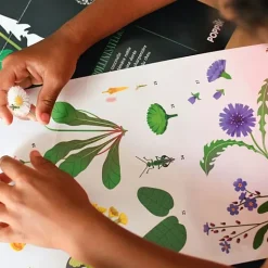 Educatieve Xxl Poster + 51 Stickers Botanic | 7-12 Jaar