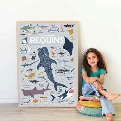 Educatieve Xxl Poster + 45 Stickers Sharks | 6-12 Jaar