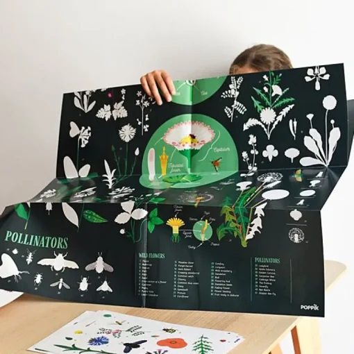 Educatieve Xxl Poster + 51 Stickers Botanic | 7-12 Jaar