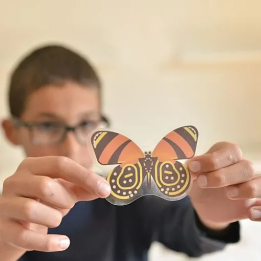 Educatieve Xxl Poster + 44 Stickers Insect | 6-12 Jaar