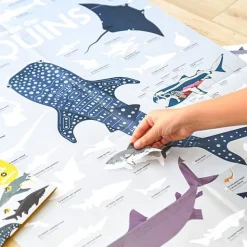 Educatieve Xxl Poster + 45 Stickers Sharks | 6-12 Jaar