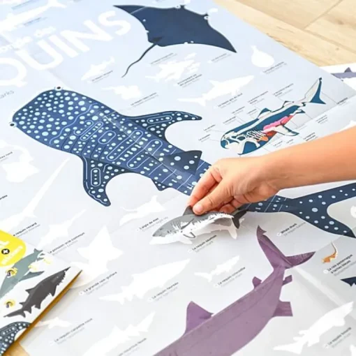 Educatieve Xxl Poster + 45 Stickers Sharks | 6-12 Jaar