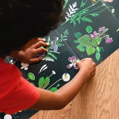 Educatieve Xxl Poster + 51 Stickers Botanic | 7-12 Jaar