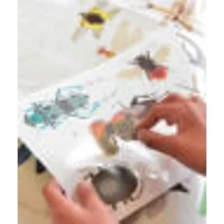Educatieve Xxl Poster + 44 Stickers Insect | 6-12 Jaar
