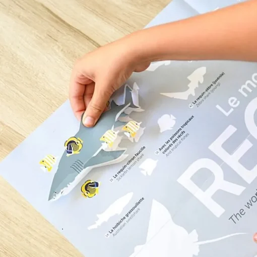 Educatieve Xxl Poster + 45 Stickers Sharks | 6-12 Jaar