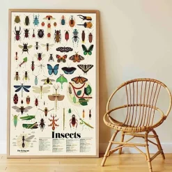 Educatieve Xxl Poster + 44 Stickers Insect | 6-12 Jaar