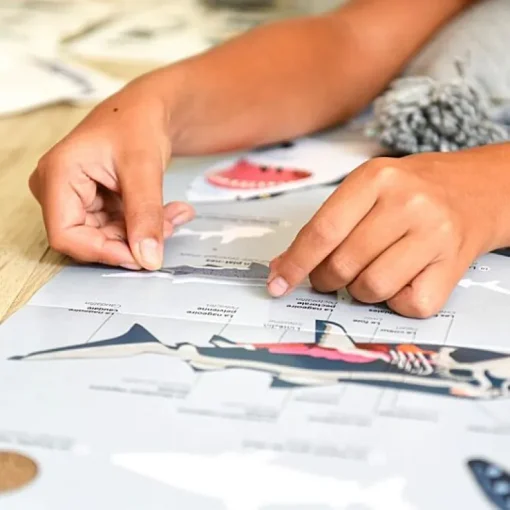 Educatieve Xxl Poster + 45 Stickers Sharks | 6-12 Jaar