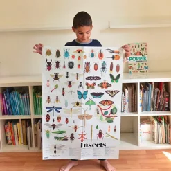 Educatieve Xxl Poster + 44 Stickers Insect | 6-12 Jaar