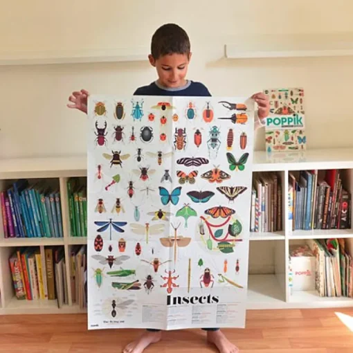 Educatieve Xxl Poster + 44 Stickers Insect | 6-12 Jaar