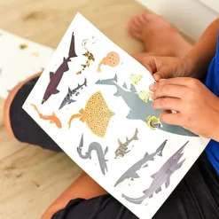 Educatieve Xxl Poster + 45 Stickers Sharks | 6-12 Jaar