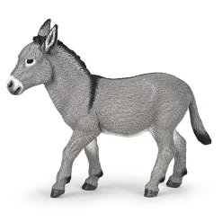 Ezel Van De Provence