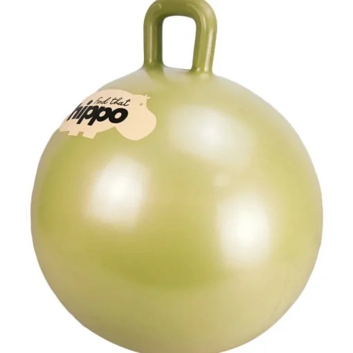 Gouden springbal met pomp