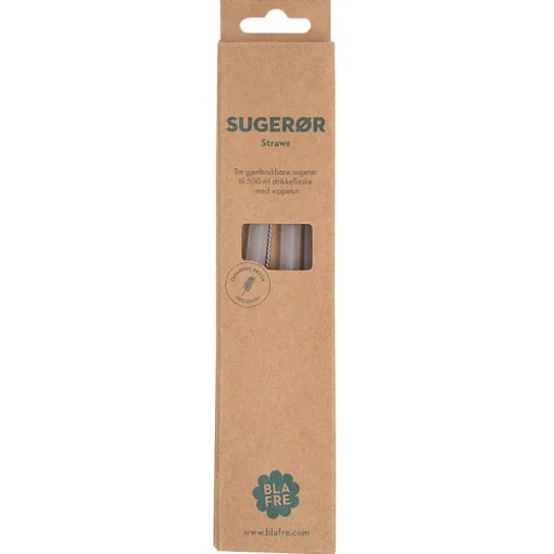 Herbruikbare rietjes + reinigingsborstel | voor de sporttuit van fles 500 ml