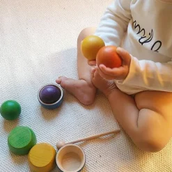 Houten Bakjes En Balletjes - Bowls & Balls