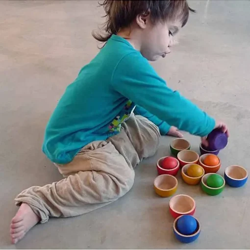 Houten Bakjes En Balletjes - Bowls & Balls
