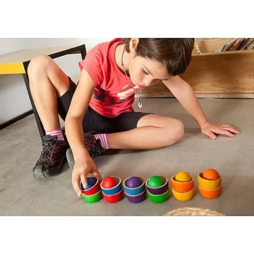 Houten Bakjes En Balletjes - Bowls & Balls